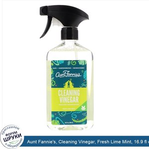 Aunt_Fannie_s__Cleaning_Vinegar__Fresh_Lime_Mint__16.9_fl_oz__500_ml_.jpg