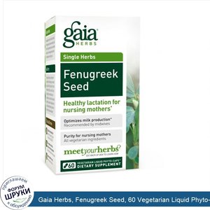 Gaia_Herbs__Fenugreek_Seed__60_Vegetarian_Liquid_Phyto_Caps.jpg