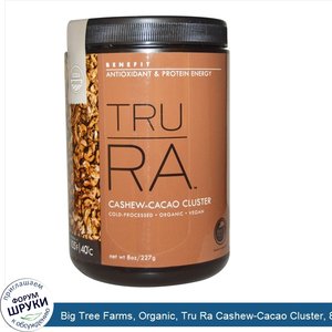 Big_Tree_Farms__Organic__Tru_Ra_Cashew_Cacao_Cluster__8_oz__227_g_.jpg