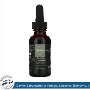 DaVinci_Laboratories_of_Vermont__Liposomal_Elderberry__1_fl_oz__30_ml_.jpg