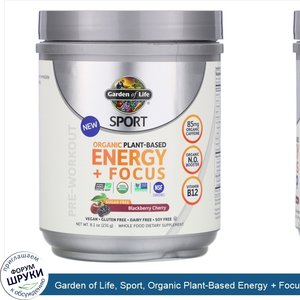 Garden_of_Life__Sport__Organic_Plant_Based_Energy___Focus__Pre_Workout__Blackberry_Cherry__8.1...jpg