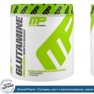 MusclePharm__Глутамин__рост_и_восстановление__серия_Core__0_661_фунта__300_г_.jpg