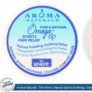 Aroma_Naturals__The_Wave__Natural_Sports_Soothing__Cooling_Comfort_Gelee__1_oz.jpg