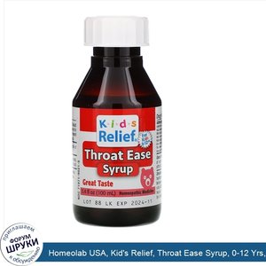 Homeolab_USA__Kid_s_Relief__Throat_Ease_Syrup__0_12_Yrs__3.4_fl_oz__100_ml_.jpg