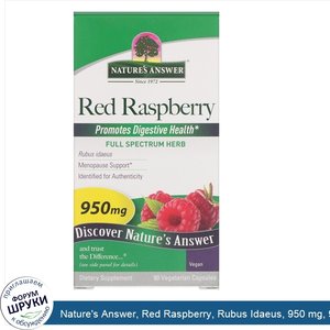 Nature_s_Answer__Red_Raspberry__Rubus_Idaeus__950_mg__90_Vegetarian_Capsules.jpg