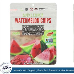 Nature_s_Wild_Organic__Earth_Soil__Baked_Crunchy__Watermelon_Chips__1.40_oz__40_g_.jpg