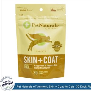 Pet_Naturals_of_Vermont__Skin___Coat_for_Cats__30_Duck_Flavored_Chews__1.85_oz__52.5_g_.jpg