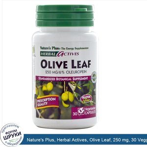 Nature_s_Plus__Herbal_Actives__Olive_Leaf__250_mg__30_Veggie_Caps.jpg