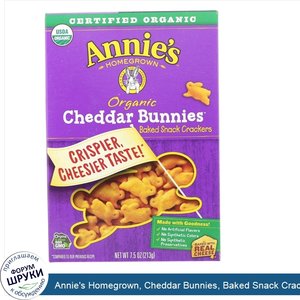 Annie_s_Homegrown__Cheddar_Bunnies__Baked_Snack_Crackers__7.5_oz__213_g_.jpg