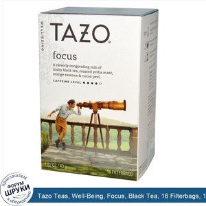 Tazo_Teas__Well_Being__Focus__Black_Tea__16_Filterbags__1.52_oz__43_g_.jpg