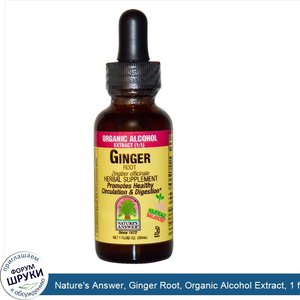 Nature_s_Answer__Ginger_Root__Organic_Alcohol_Extract__1_fl_oz__30_ml_.jpg