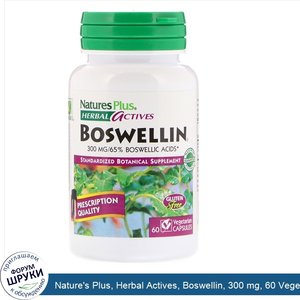 Nature_s_Plus__Herbal_Actives__Boswellin__300_mg__60_Vegetarian_Capsules.jpg