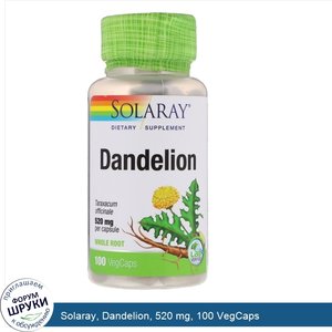 Solaray__Dandelion__520_mg__100_VegCaps.jpg