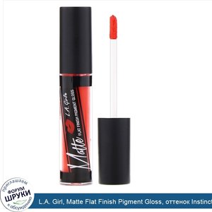 L.A._Girl__Matte_Flat_Finish_Pigment_Gloss__оттенок_Instinct__5г.jpg