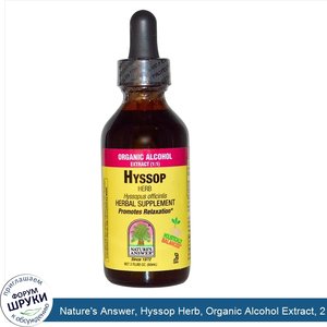 Nature_s_Answer__Hyssop_Herb__Organic_Alcohol_Extract__2_fl_oz__60_ml_.jpg