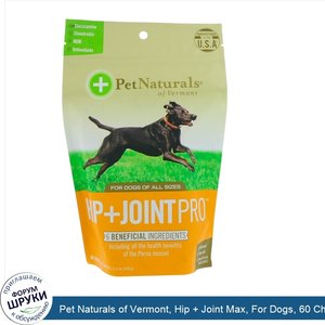 Pet_Naturals_of_Vermont__Hip___Joint_Max__For_Dogs__60_Chews__11.2_oz__318_g_.jpg
