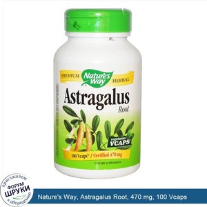 Nature_s_Way__Astragalus_Root__470_mg__100_Vcaps.jpg