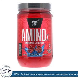 BSN__AminoX__выносливость_и_восстановление__синяя_малина__435_г__15_3_унции_.jpg