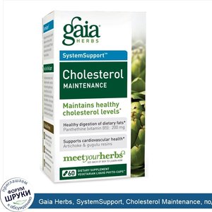 Gaia_Herbs__SystemSupport__Cholesterol_Maintenance__поддержание_холестерина__60_растительных_ж...jpg