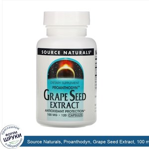 Source_Naturals__Proanthodyn__Grape_Seed_Extract__100_mg__120_Capsules.jpg