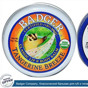 Badger_Company__Классический_бальзам_для_губ_и_тела__Мандариновый_бриз__0_75_унции__21_г_.jpg