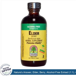 Nature_s_Answer__Elder__Berry__Alcohol_Free_Extract__1_1___4_fl_oz__120_ml_.jpg