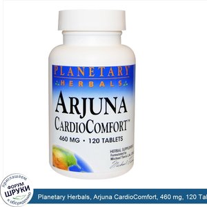 Planetary_Herbals__Arjuna_CardioComfort__460_mg__120_Tablets.jpg