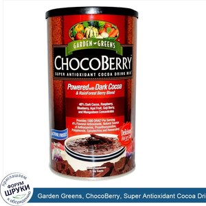 Garden_Greens__ChocoBerry__Super_Antioxidant_Cocoa_Drink_Mix__24.7_oz__700_g_.jpg