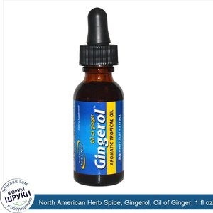 North_American_Herb_Spice__Gingerol__Oil_of_Ginger__1_fl_oz__30ml_.jpg