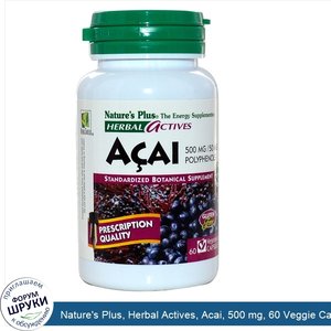 Nature_s_Plus__Herbal_Actives__Acai__500_mg__60_Veggie_Caps.jpg