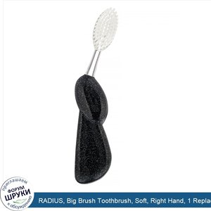 RADIUS__Big_Brush_Toothbrush__Soft__Right_Hand__1_Replaceable_Toothbrush.jpg