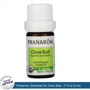 Pranarom__Essential_Oil__Clove_Bud__.17_fl_oz__5_ml_.jpg