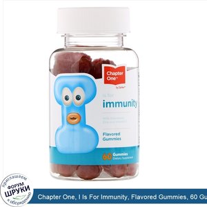 Chapter_One__I_Is_For_Immunity__Flavored_Gummies__60_Gummies.jpg