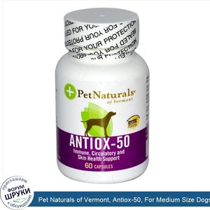 Pet_Naturals_of_Vermont__Antiox_50__For_Medium_Size_Dogs__60_Capsules.jpg