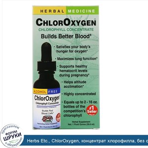 Herbs_Etc.__ChlorOxygen__концентрат_хлорофилла__без_спирта__1_жидкая_унция__29_6_мл_.jpg