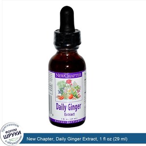 New_Chapter__Daily_Ginger_Extract__1_fl_oz__29_ml_.jpg