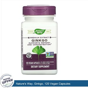 Nature_s_Way__Ginkgo__120_Vegan_Capsules.jpg