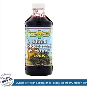 Dynamic_Health_Laboratories__Black_Elderberry_Honey_Tonic__8_fl_oz__237_ml_.jpg