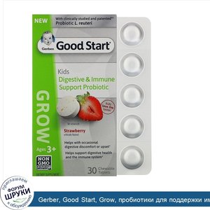 Gerber__Good_Start__Grow__пробиотики_для_поддержки_иммунной_системы_и_пищеварения_для_детей_ст...jpg