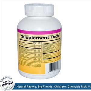 Natural_Factors__Big_Friends__Children_s_Chewable_Multi_Vitamin__Mixed_Fruit_Flavor__90_Tablets.jpg