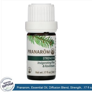 Pranarom__Essential_Oil__Diffusion_Blend__Strength__.17_fl_oz__5_ml_.jpg