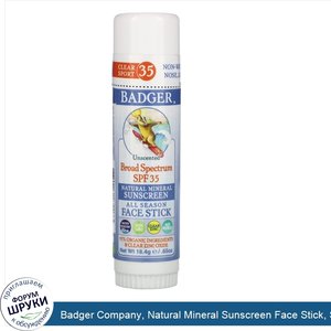 Badger_Company__Natural_Mineral_Sunscreen_Face_Stick__SPF_35__Unscented__.65_oz__18.4_g_.jpg