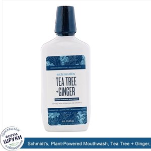 Schmidt_s__Plant_Powered_Mouthwash__Tea_Tree___Ginger__16_fl_oz__473_ml_.jpg