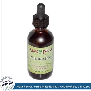 Mate_Factor__Yerba_Mate_Extract__Alcohol_Free__2_fl_oz__60_ml_.jpg