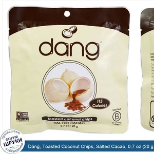 Dang__Toasted_Coconut_Chips__Salted_Cacao__0.7_oz__20_g_.jpg