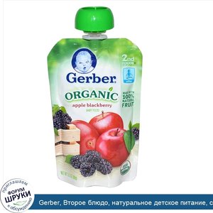 Gerber__Второе_блюдо__натуральное_детское_питание__с_яблоком_и_черникой__3.5_унции__99_г_.jpg