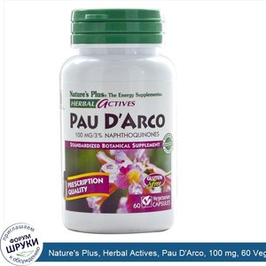 Nature_s_Plus__Herbal_Actives__Pau_D_Arco__100_mg__60_Veggie_Caps.jpg