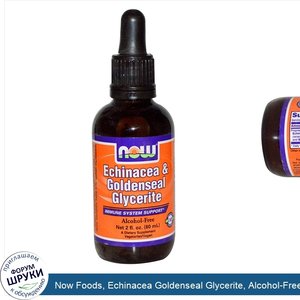 Now_Foods__Echinacea_Goldenseal_Glycerite__Alcohol_Free__2_fl_oz__60_ml_.jpg