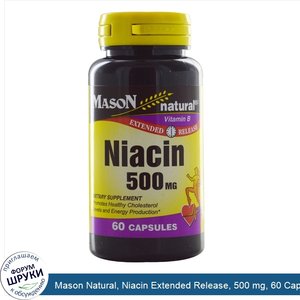 Mason_Natural__Niacin_Extended_Release__500_mg__60_Capsules.jpg