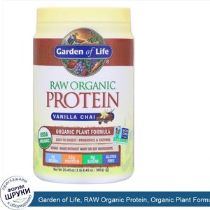 Garden_of_Life__RAW_Organic_Protein__Organic_Plant_Formula__Vanilla_Chai__20.45_oz__580_g_.jpg